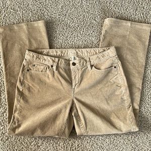 Ann Taylor LOFT Curvy Bootcut Corduroy Pants size 8P